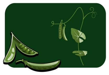 Pea pod clipart