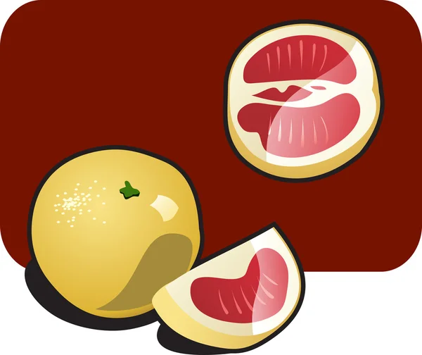 Грейпфрут — стоковый вектор
