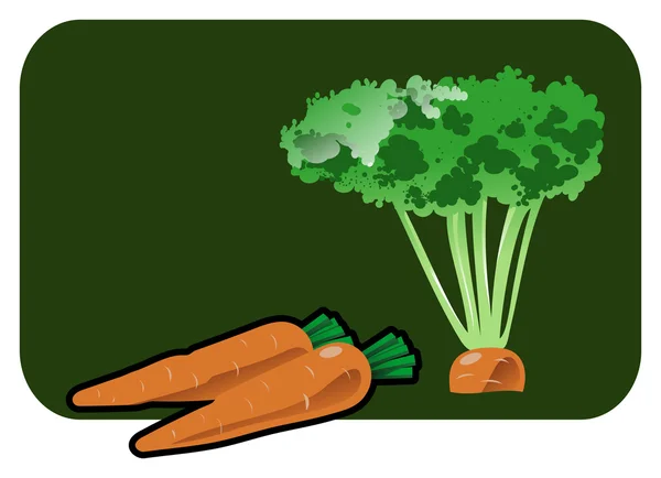 गाजरचे वर्णन — स्टॉक व्हेक्टर