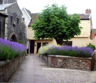 Colourful Courtyard clipart