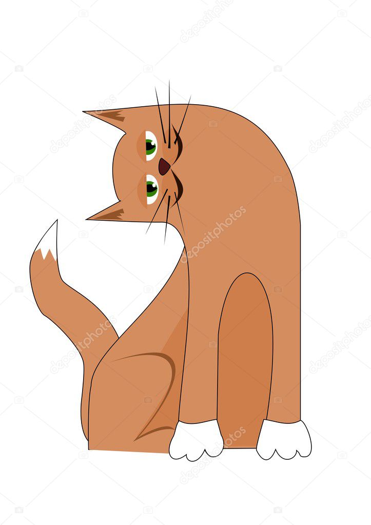 Cartoon cat with tilted head
