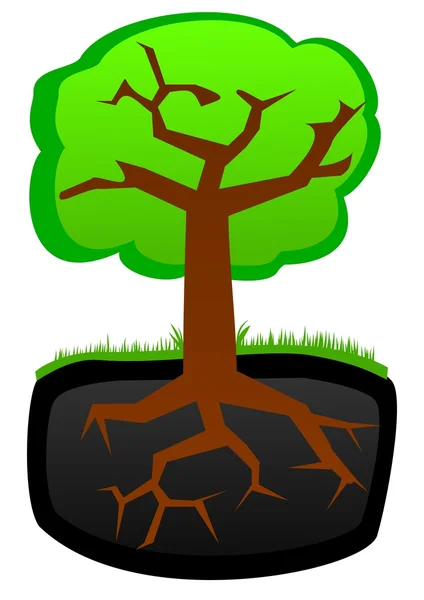Tree. Roots and krone — Stock Vector