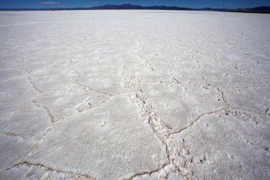 Salinas grandes - tuz çölünde jujuy - Kuzey Arjantin