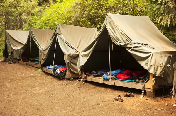 Yaz kampında dağınık olması sizin — Stok fotoğraf