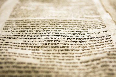 One Line Of Torah clipart