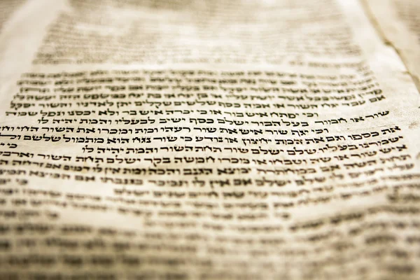 One Line Of Torah — Stock Photo, Image