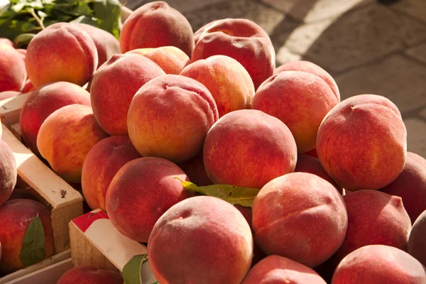 stock image Juicy Peaches