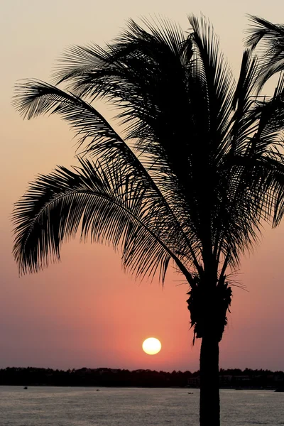 Tropischer mexikanischer Sonnenuntergang — Stockfoto