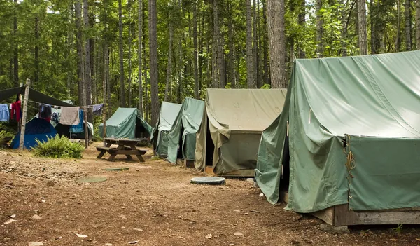 Camping Boy Scout Photo De Stock