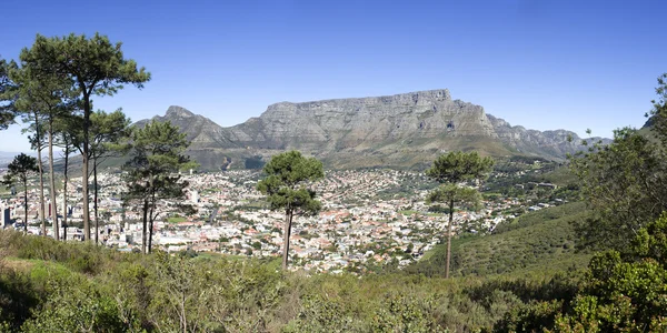 Tafelberg und Kapstadt — Stockfoto