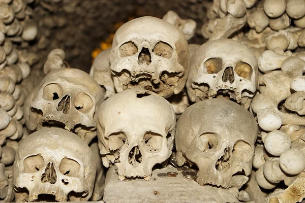 Seis cráneos humanos —  Fotos de Stock
