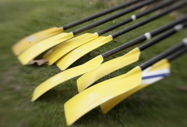 Yellow Oars Before Race clipart