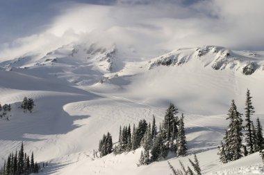 Mt. Rainier In Clouds clipart