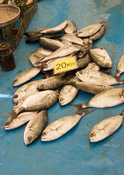 Маленькая рыбка на продажу — стоковое фото