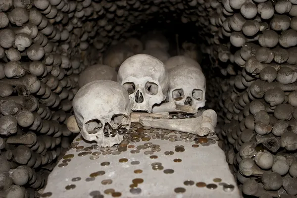 Three Skulls and Coins — Stock Photo, Image