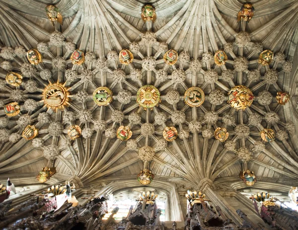 Plafond de la chapelle du chardon — Photo