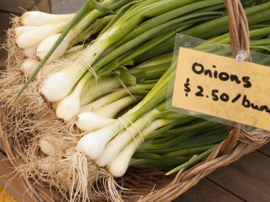 Green Onions At Market clipart