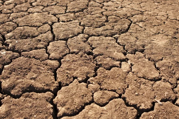 stock image Dry, Parched Earth