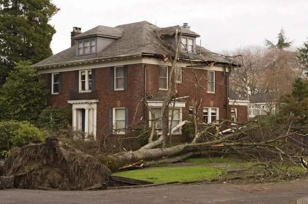 House With Tree Damage — Stock Photo, Image