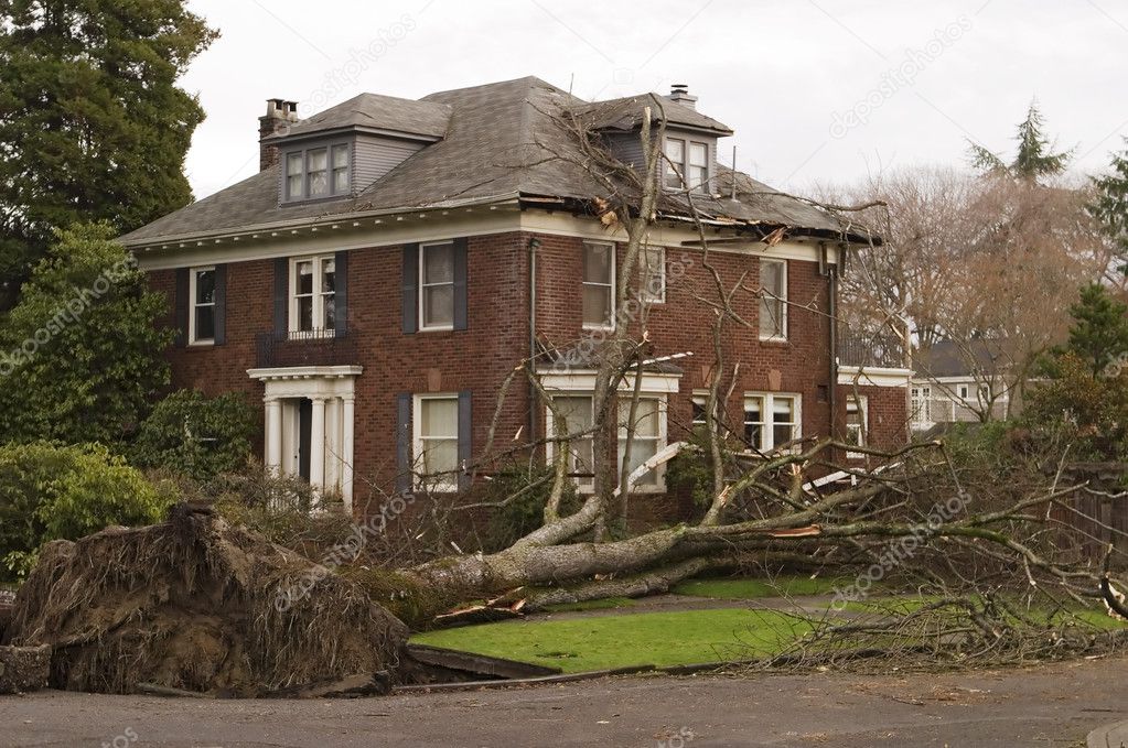 House With Tree Damage