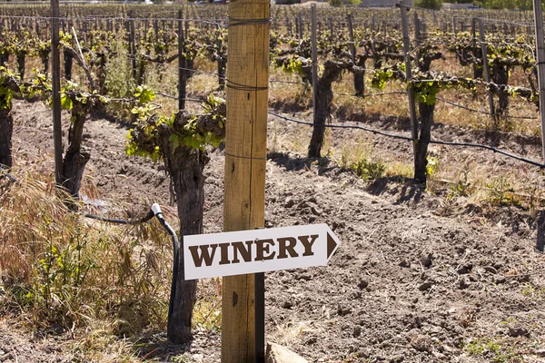 Winery Sign In Vineyard — Stock Photo, Image