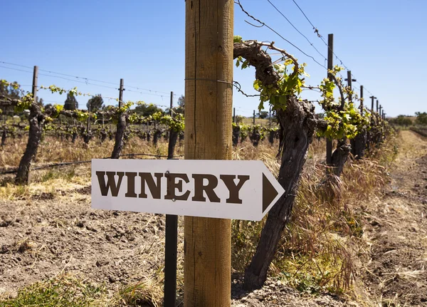 Winery Sign With Old Vines — Stock Photo, Image