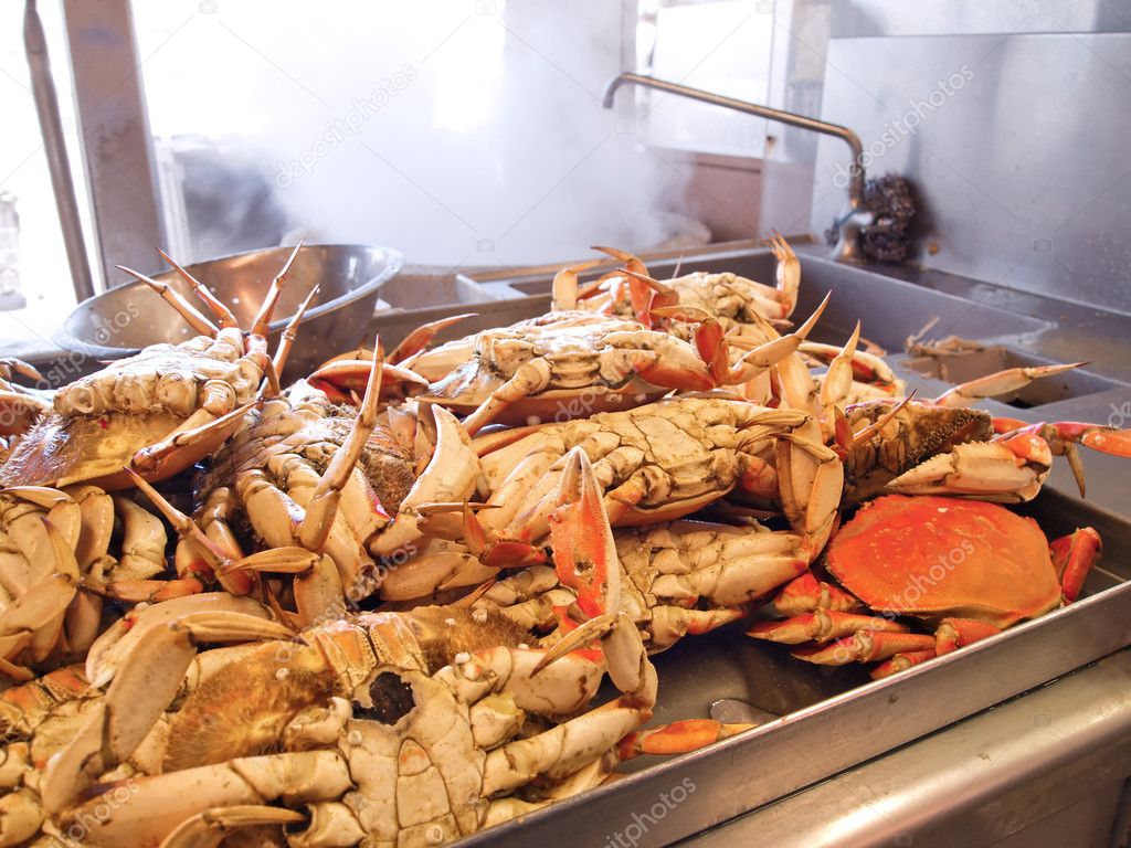 Dungeness Crabs In Kitchen