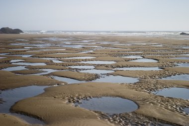 Tidepools On The Beach clipart