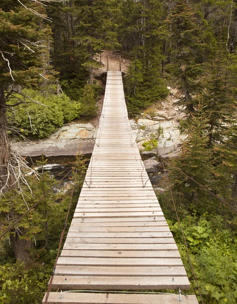 Ξύλινη γέφυρα στο εθνικό πάρκο του παγετώνα — Φωτογραφία Αρχείου