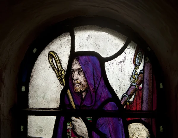 Shepherd In Stained Glass — 스톡 사진