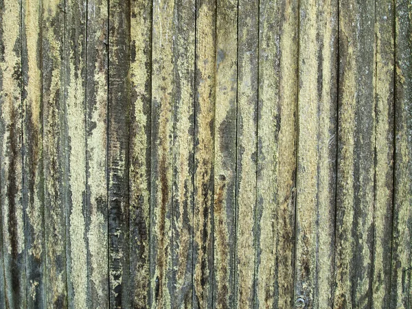 Wood Fence With Lichen — Stock Photo, Image