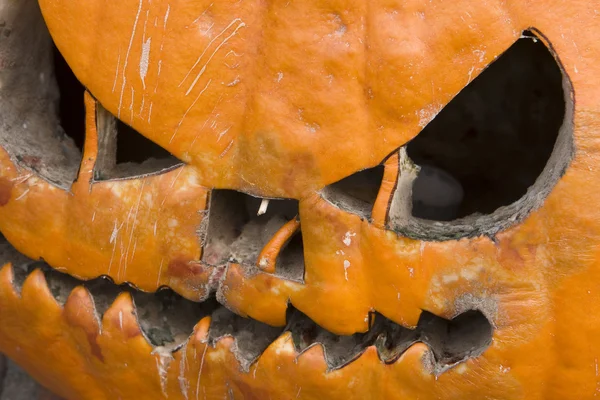 stock image Rotten Halloween Pumpkin