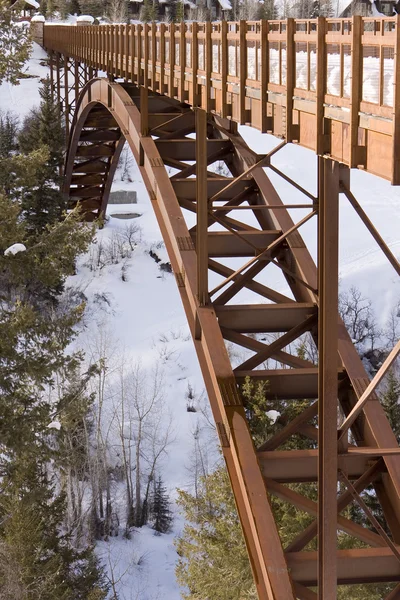 Alpine Bridge In Winter — Zdjęcie stockowe