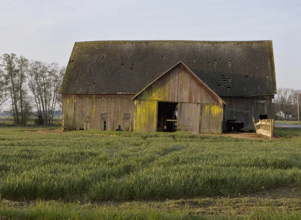 Oude schuur met veld — Stockfoto