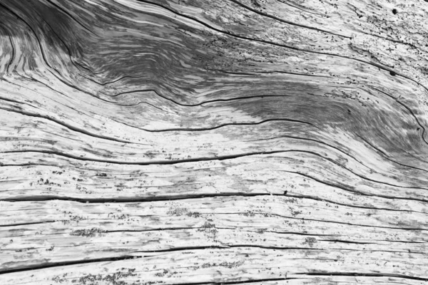 Drijfhout abstracte patroon — Stockfoto