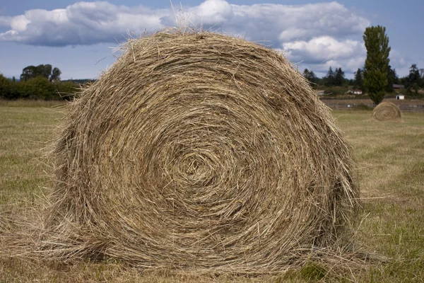 Hooi roll op een boerderij — Stockfoto