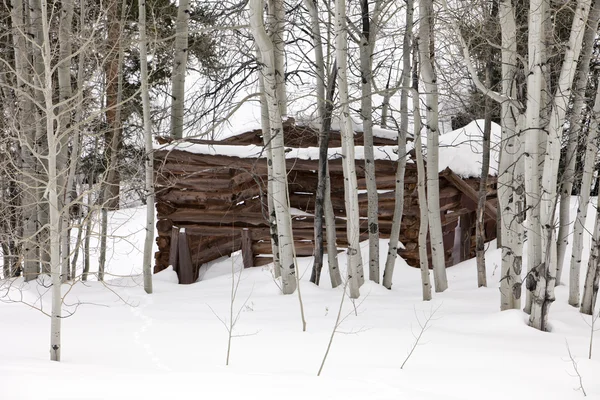 Ghost Cabin In Snow — Stock Photo, Image
