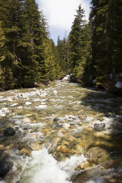 Wildwater in denny creek — Stockfoto