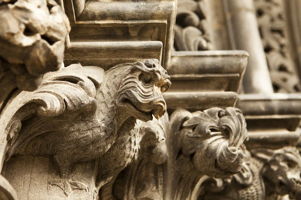 Dragon gargoyle op kathedraal — Stockfoto