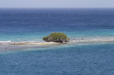 Çöl Adası