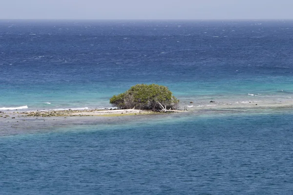 Wyspa Pustyni — Zdjęcie stockowe