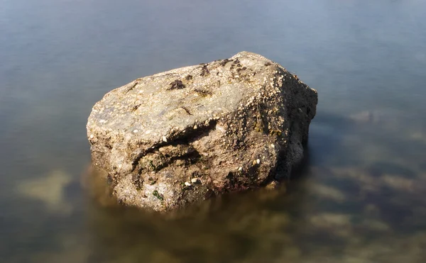 Boulder In Still Water — Stock Photo, Image