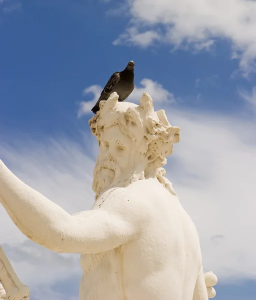 Estatua con paloma — Foto de Stock