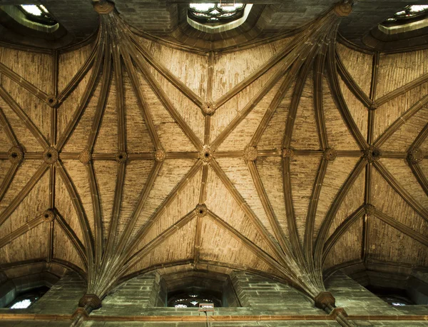 聖ジャイルズ大聖堂の天井 — ストック写真