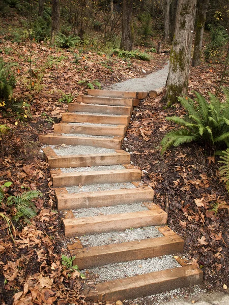 New Steps Into Park — Stock Photo, Image