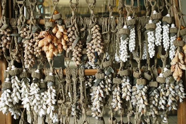 绳索和贝壳 — 图库照片