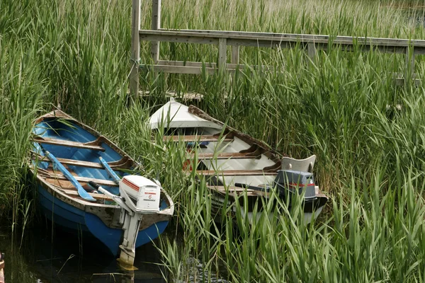 Twee boten in riet — Stockfoto