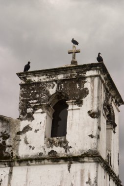 Vultures On Church Tower clipart