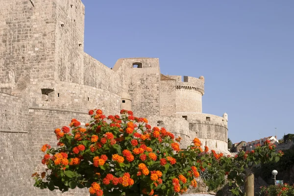 Stadsmuren van Dubrovnik en Fort — Stockfoto