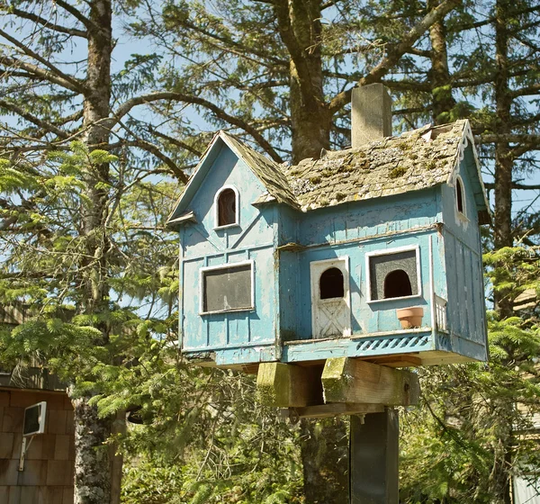 Casa de passarinho azul — Fotografia de Stock